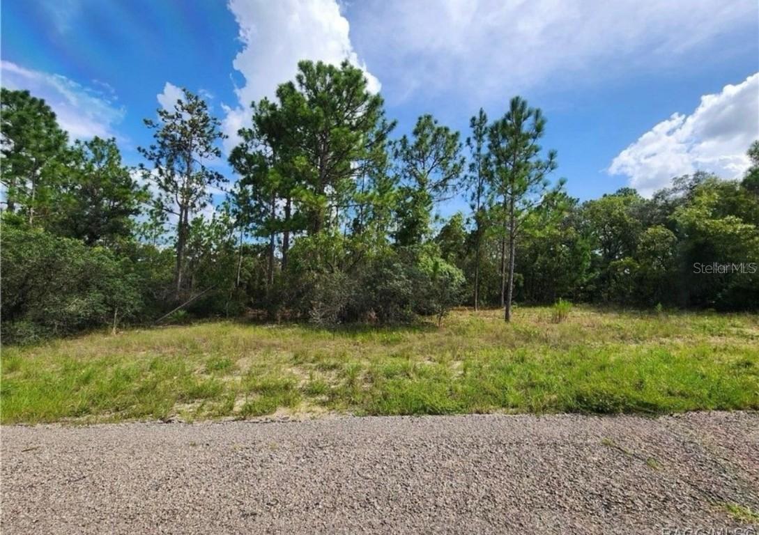 3504 W Seahorse Ln., Dunnellon, FL 34433