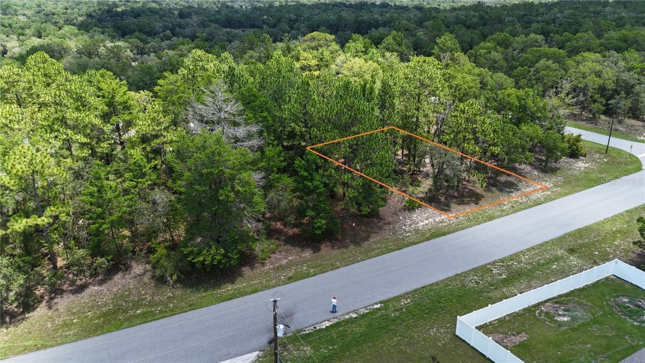 1971 W G Martinelli Blvd., Citrus Springs, FL 34434