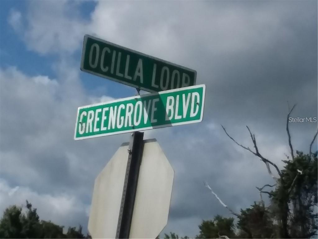 Greengrove Blvd. #LOT26, Clermont, FL 34714