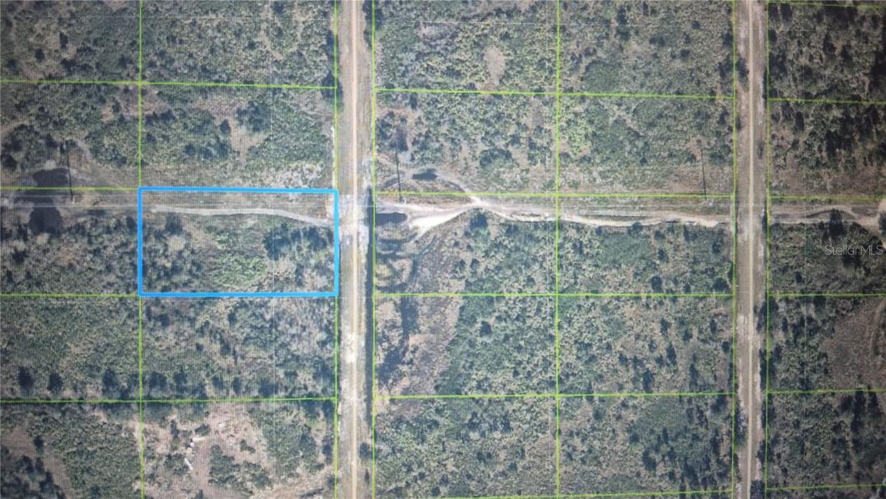 1364 Davidson Rd., Avon Park, FL 33825