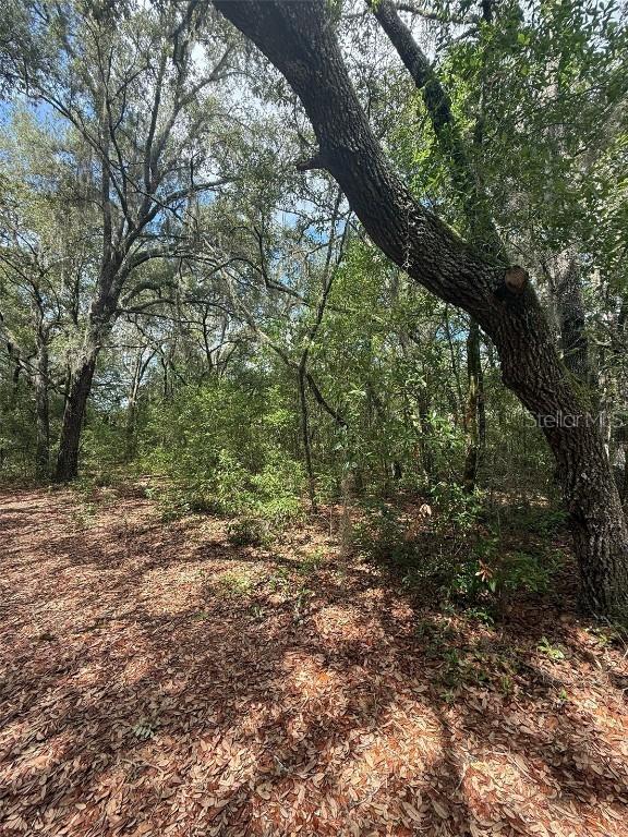LOT 132 Duncan Ave., Interlachen, FL 32148