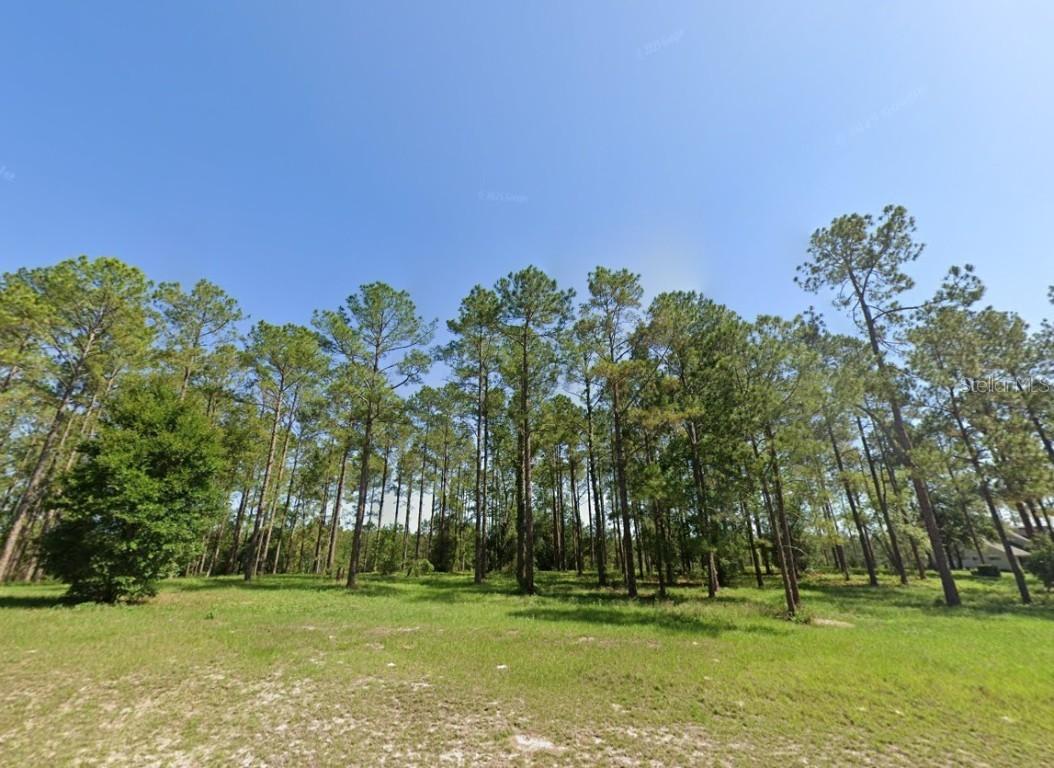 24135 Greenwood Crossing, Eustis, FL 32736