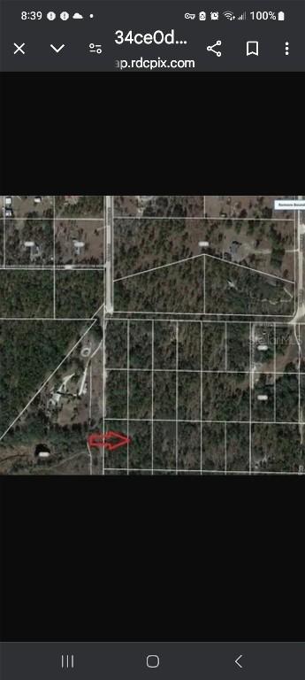 SE 120 Ave., Morriston, FL 32668