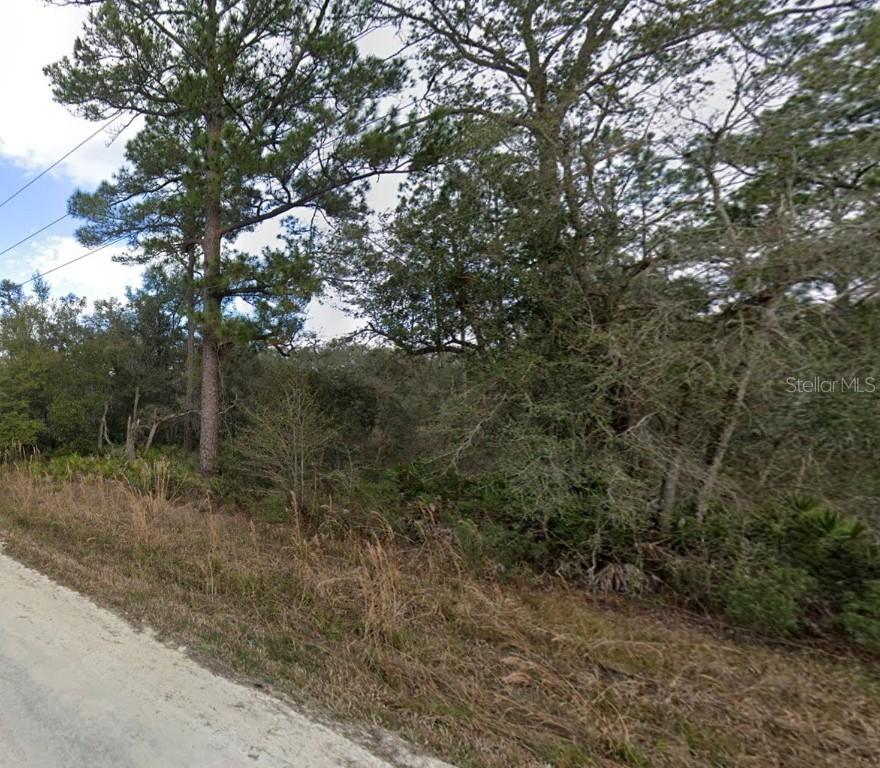 Otter Dr, Webster, FL 33597