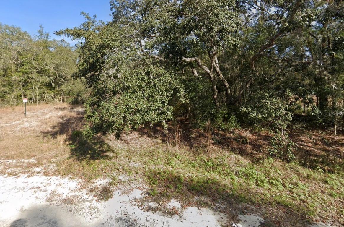 Biltmore Avenue, Webster, FL 33597