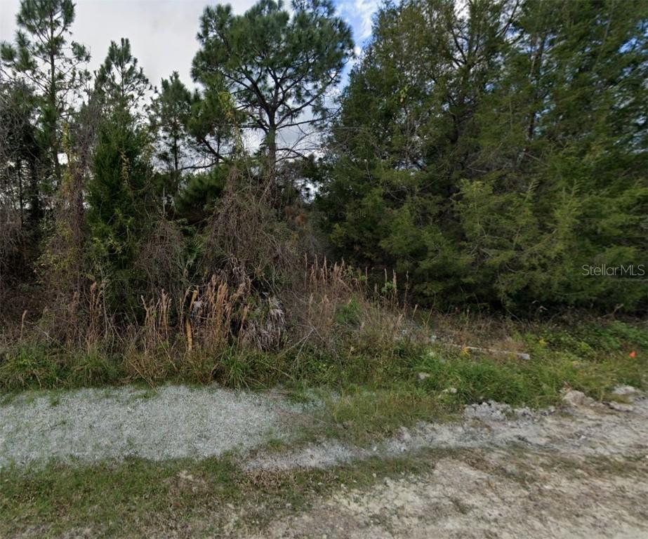 Glenchester Drive, Webster, FL 33597