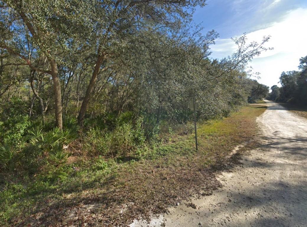 [Address Hidden by Seller], Webster, FL 33597