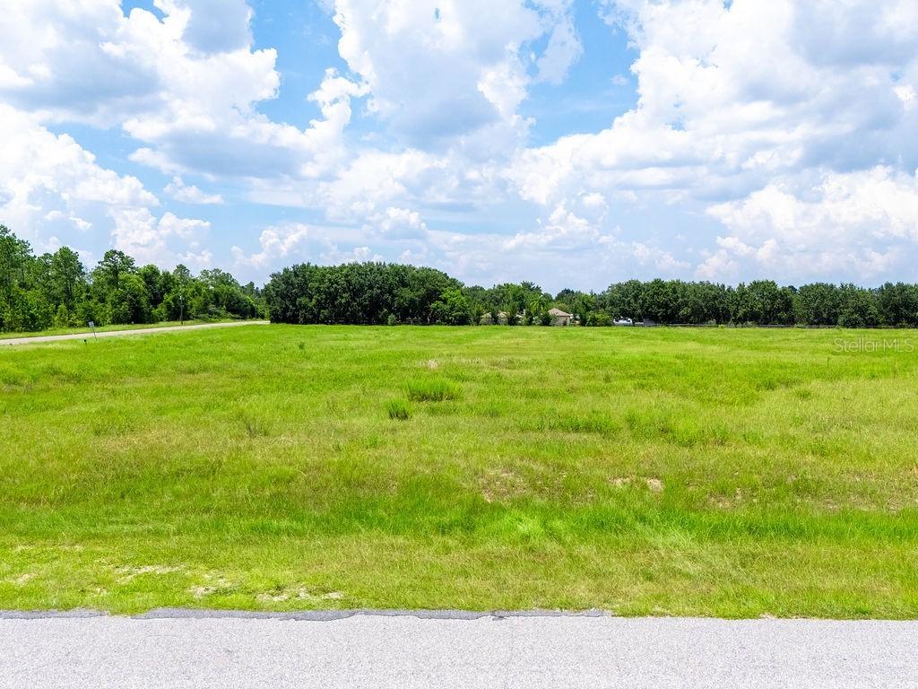 Indigo Rd, Groveland, FL 34736