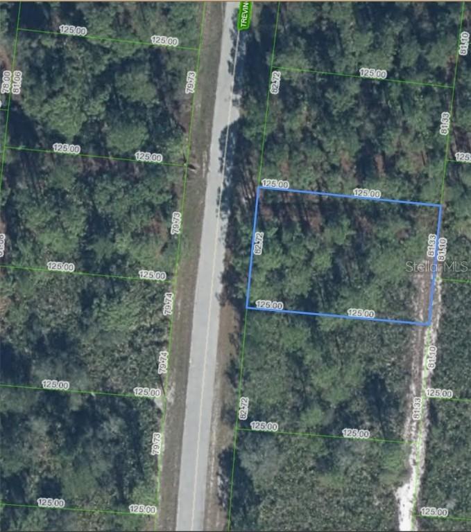 5132 Trevino Ave., Sebring, FL 33872