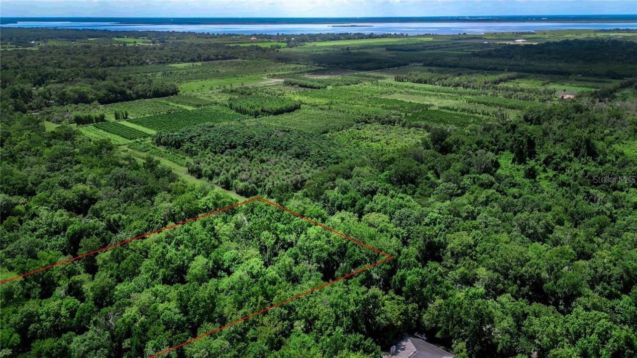 Oviedo, Oviedo, FL 32765