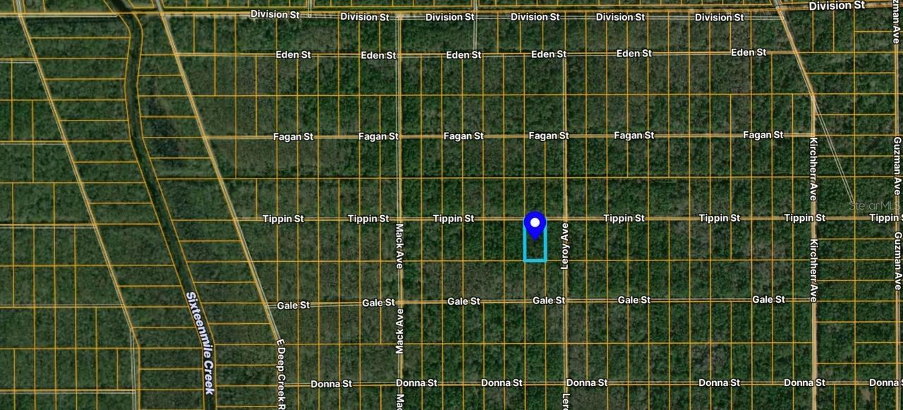 Tippin St., Hastings, FL 32145