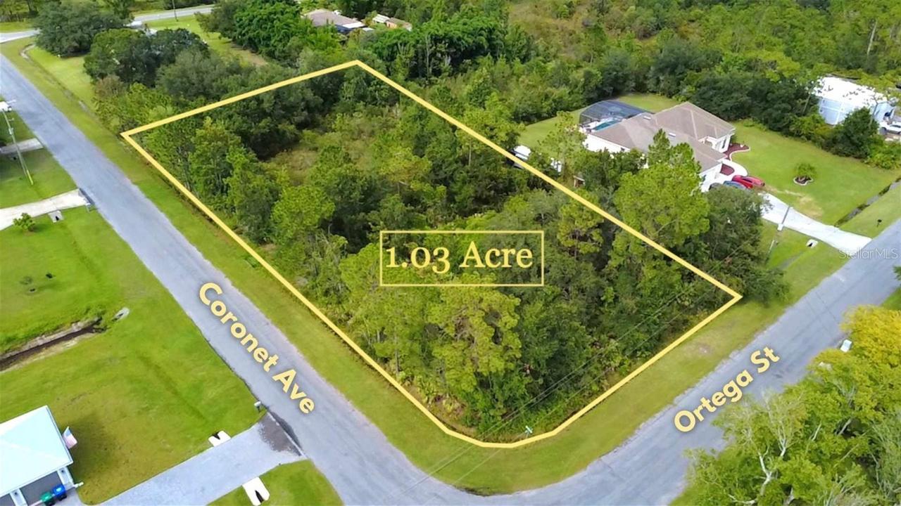 TBD Ortega St., Orlando, FL 32833