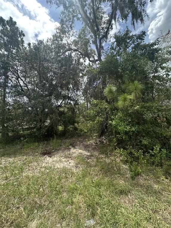 9700 N Cortlandt Dr., Citrus Springs, FL 34434