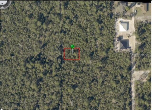 Highwood (paper) Ave., Orange City, FL 32763