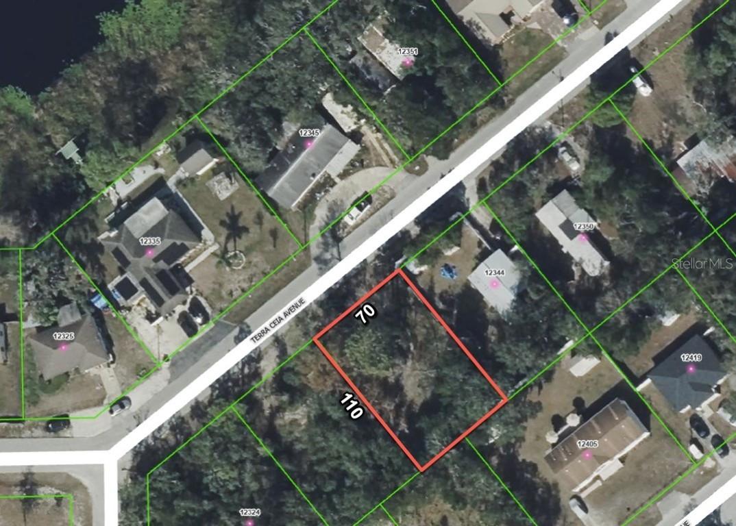 12338 Terra Ceia Ave., New Port Richey, FL 34654