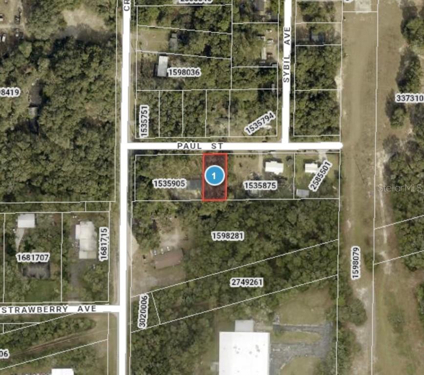 24530 Paul St., Mount Plymouth, FL 32776