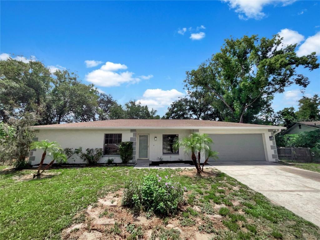 23910 Lake Bark Ct., Lutz, FL 33559