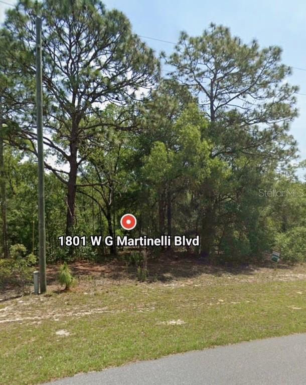 W G Martinelli Blvd #1801, Citrus Springs, FL 34434