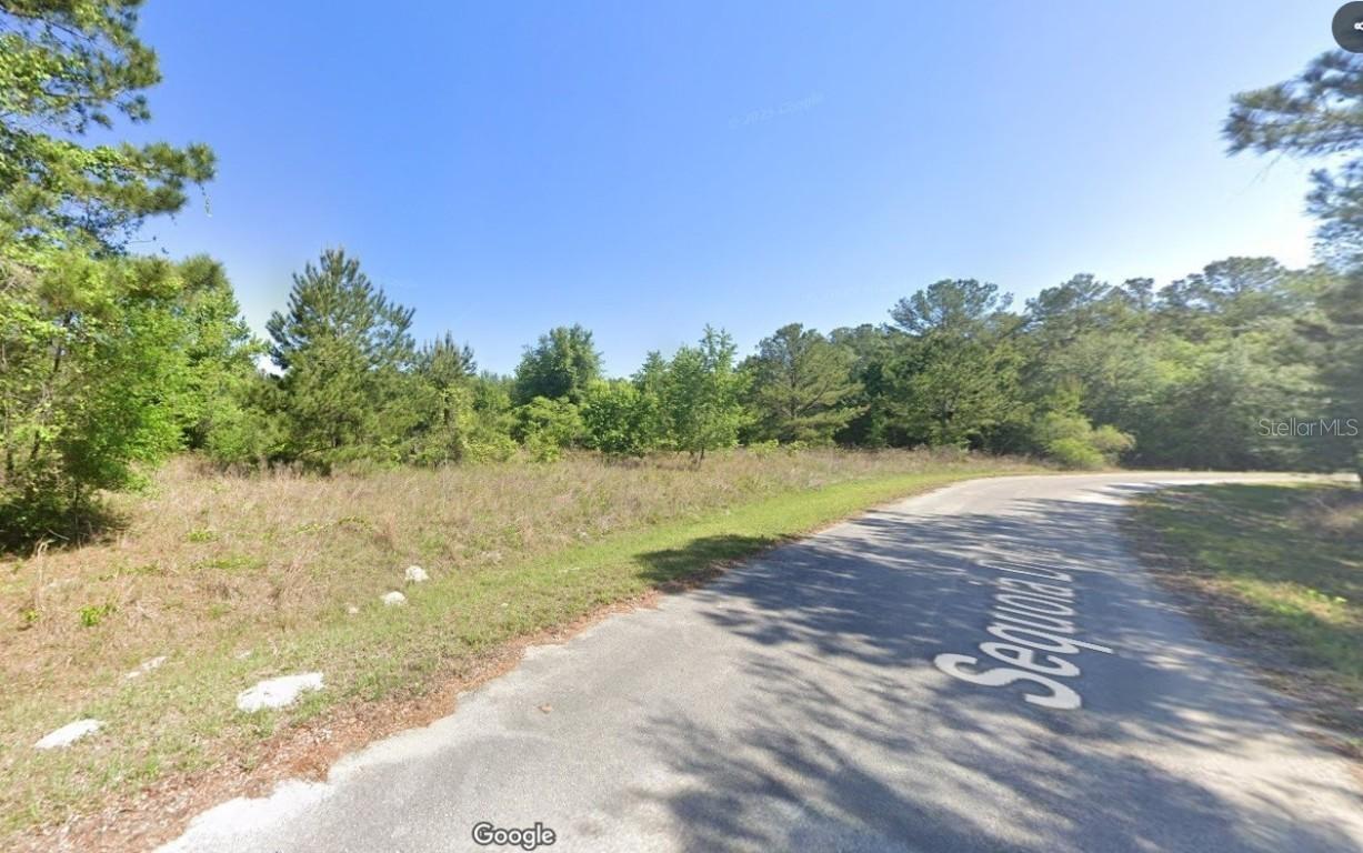 Sequoia Drive Ct., Ocklawaha, FL 32179