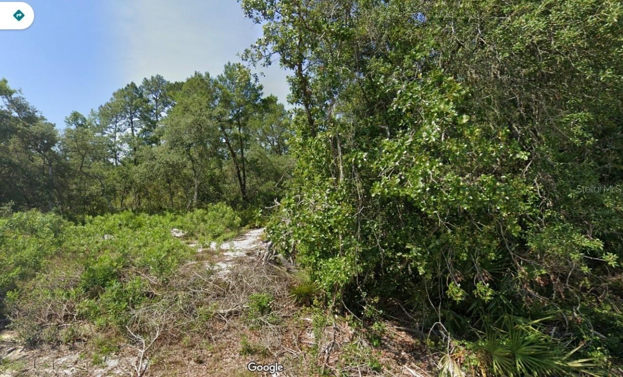Fisher Pass, Ocklawaha, FL 32179