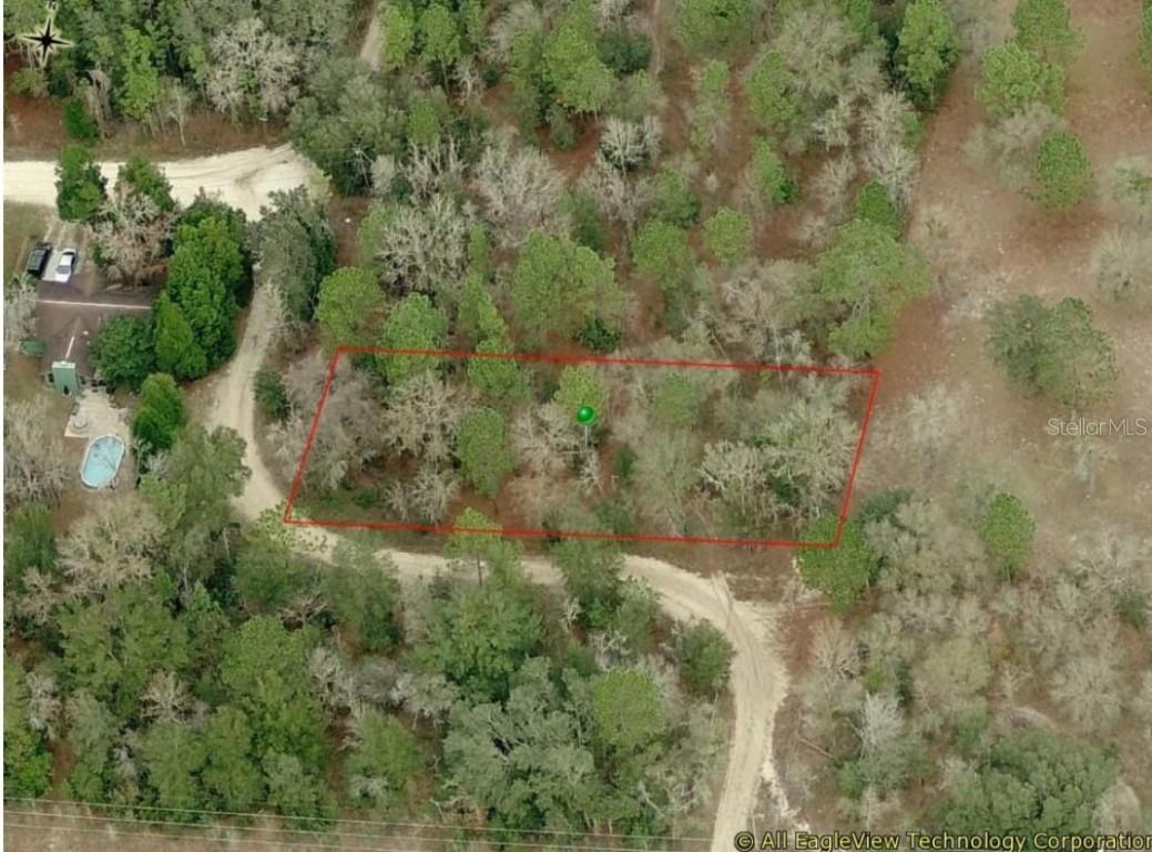 10001 N Holyoak Ter., Dunnellon, FL 34433