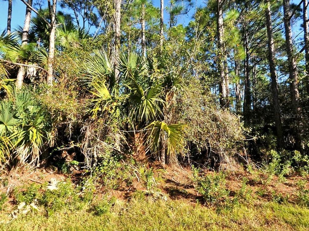 La Rosa Ave., North Port, FL 34286