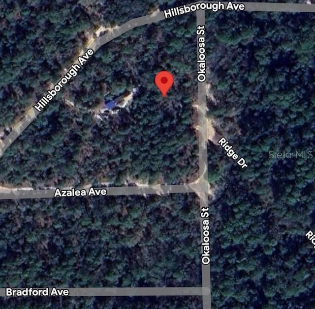 903 Okaloosa St., Florahome, FL 32140