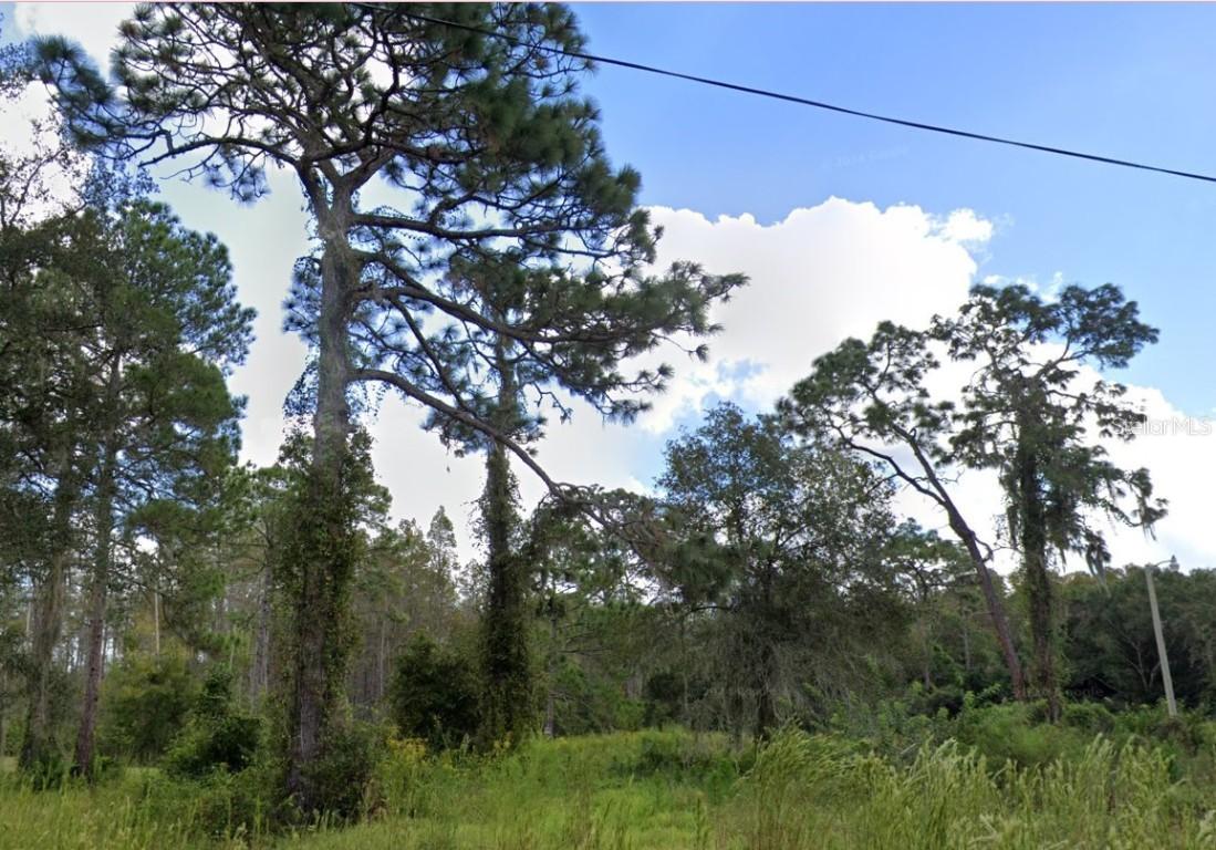00 Ladd Ave., New Port Richey, FL 34654