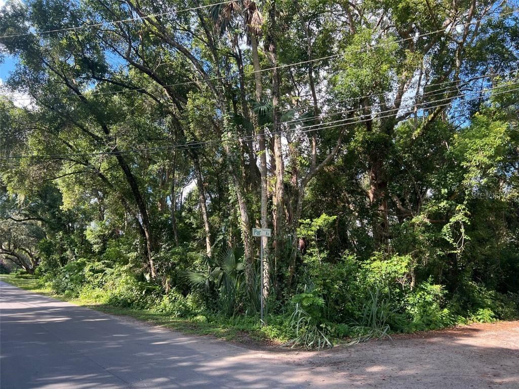 Par Ave., Sorrento, FL 32776