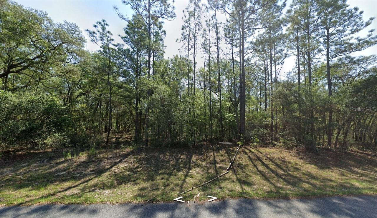 8123 N Yellowbird Ave., Dunnellon, FL 34434