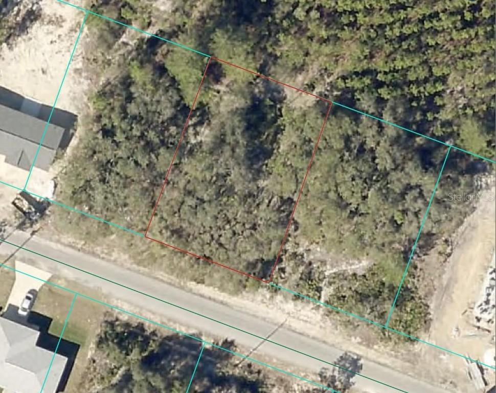 Malauka Ln., Ocklawaha, FL 32179
