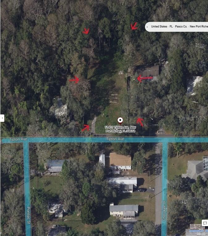 [Address Hidden by Seller], New Port Richey, FL 34654