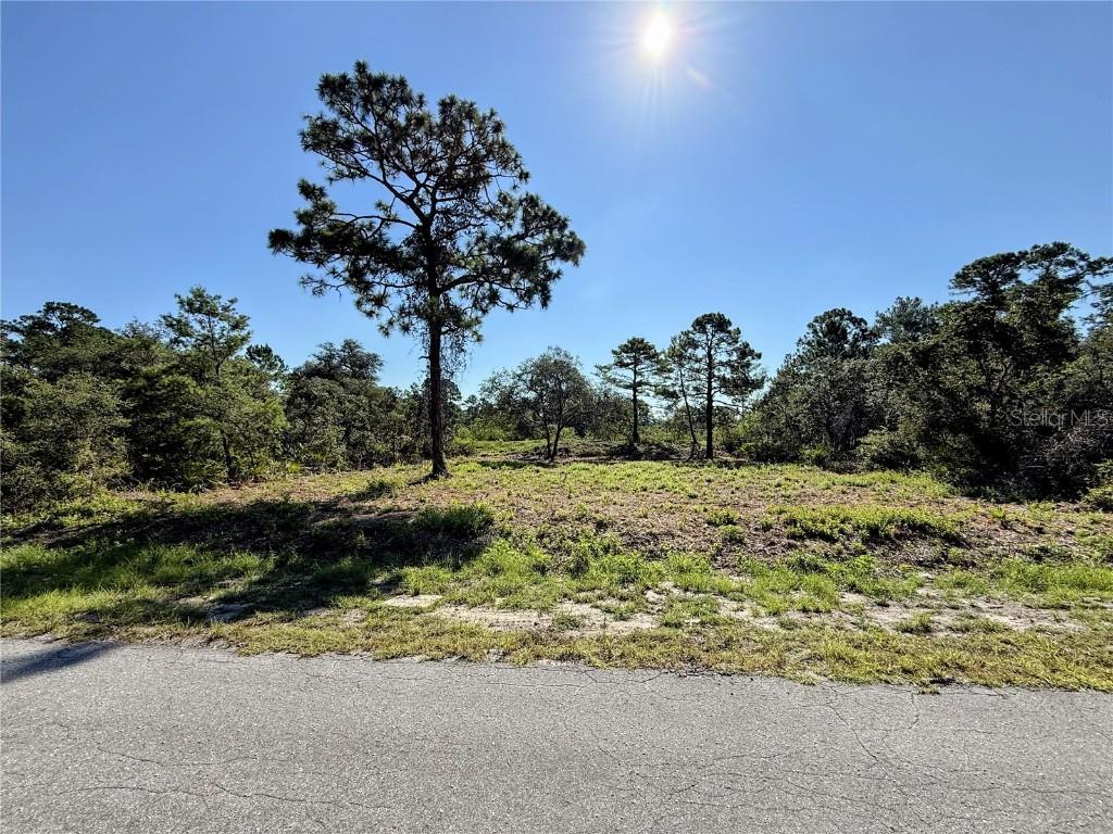 Malauka Pass, Ocklawaha, FL 32179