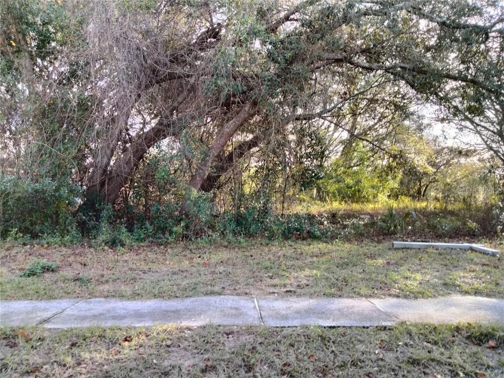 Sheeler Oaks Dr., Apopka, FL 32703