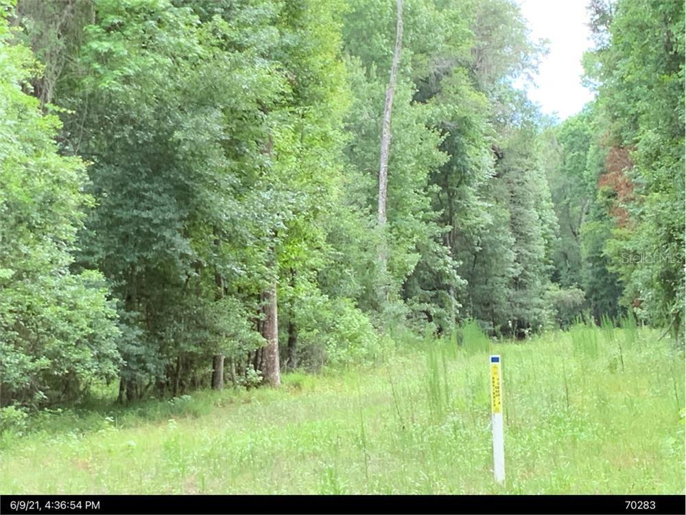 5701 SW 127th Ave., Micanopy, FL 32667