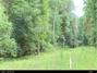 New Homes For Sale This Week in Micanopy: August 22nd to August 28th