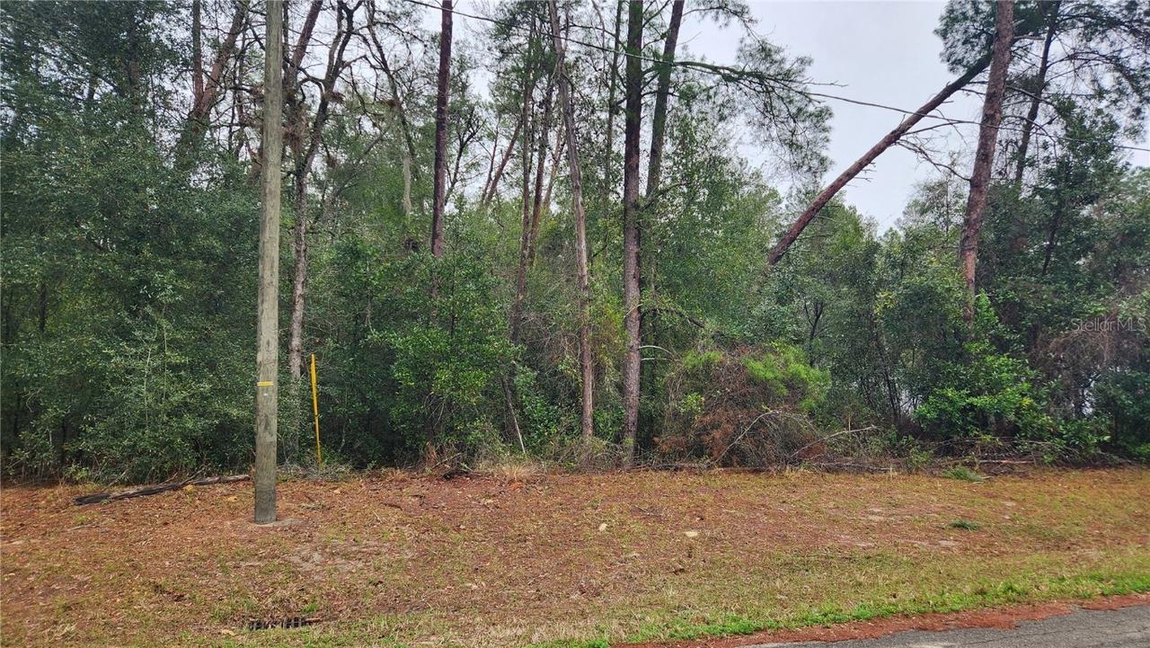 Locust Course Radial, Ocala, FL 34472