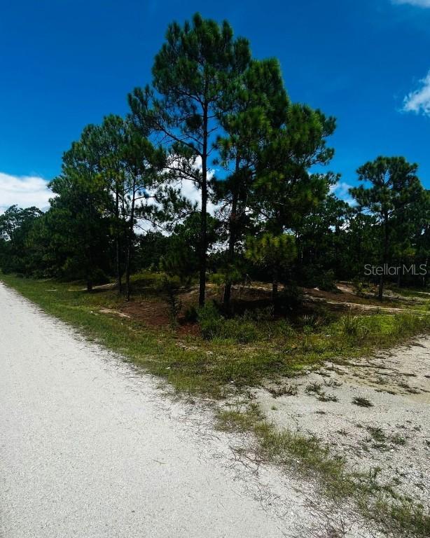 486 Dreamland Dr., Lake Placid, FL 33852