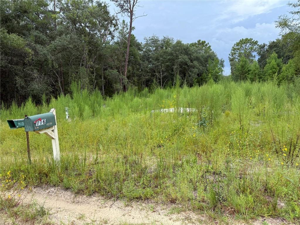 117 Sumac St., Interlachen, FL 32148