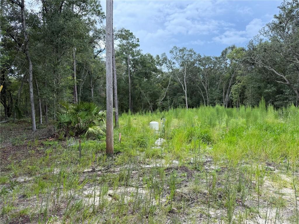 106 Jackson Ave., Interlachen, FL 32148