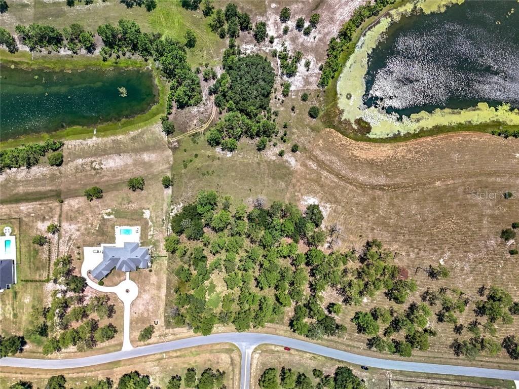 35802 Pinegate Tr., Eustis, FL 32736