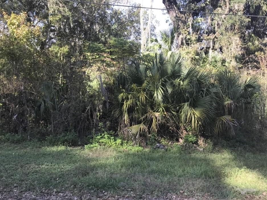 Lot 13, Lake Panasoffkee, FL 33538
