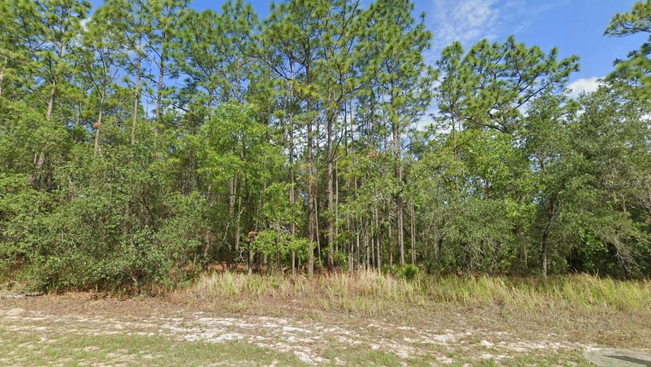 5912 N Matheson Dr., Citrus Springs, FL 34434