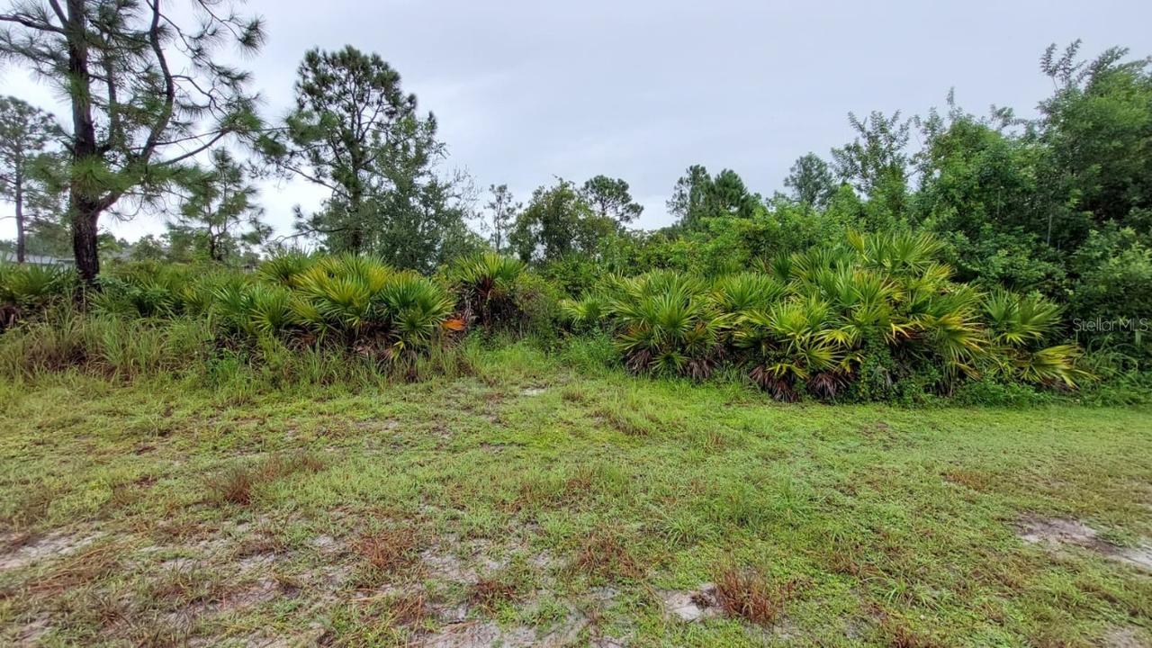 1153 Dutchess St., Lehigh Acres, FL 33974