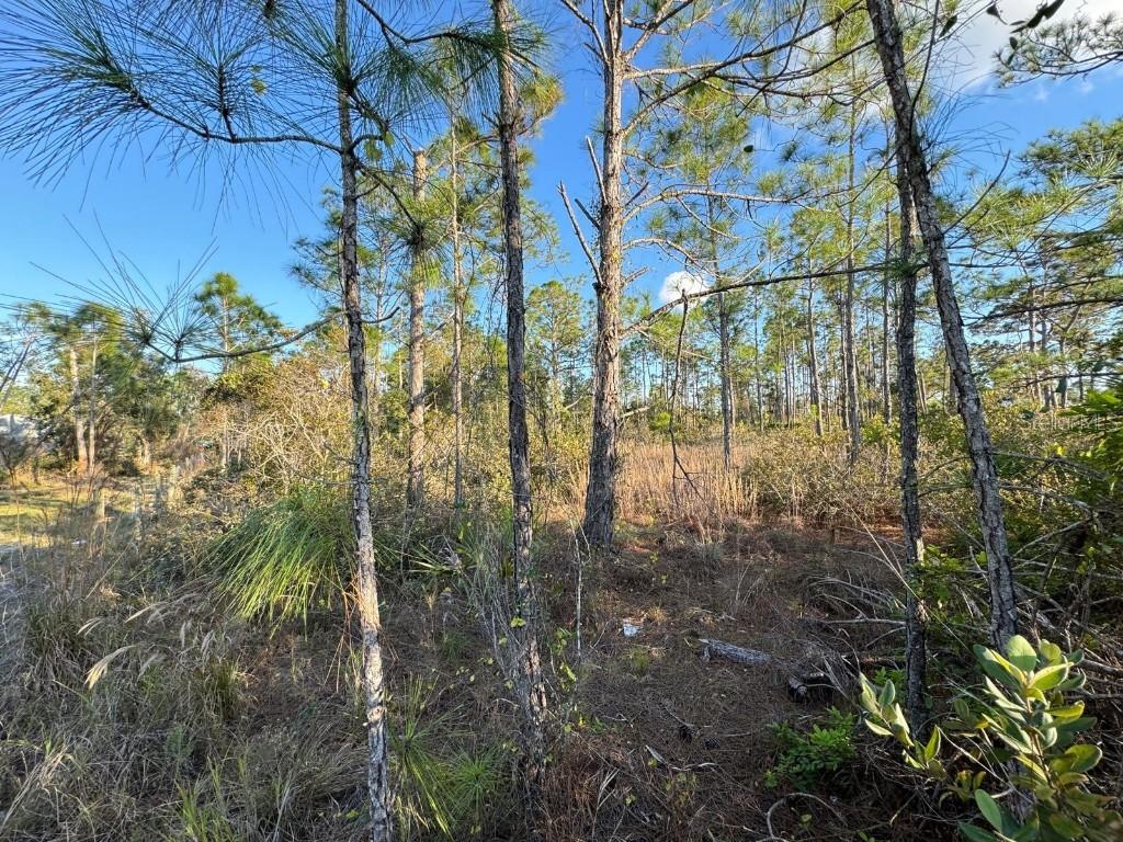 8108 Austrian Blvd., Punta Gorda, FL 33982