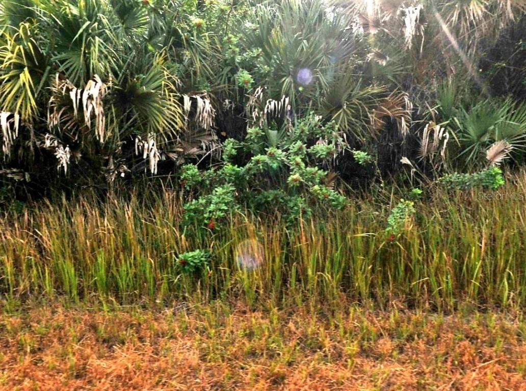 Sernice St., North Port, FL 34288