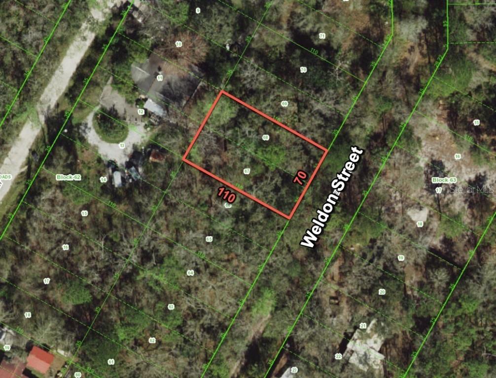 Weldon St., New Port Richey, FL 34654