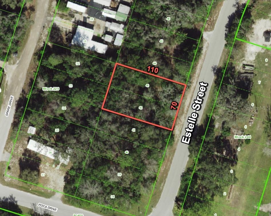 Estelle St., New Port Richey, FL 34654