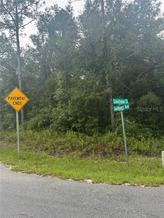Southeast Ave., Webster, FL 33597