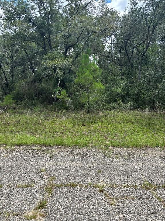 875 E Elston Pl., Dunnellon, FL 34434